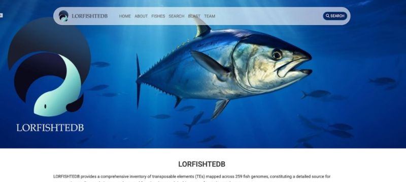 The LorfishDB
